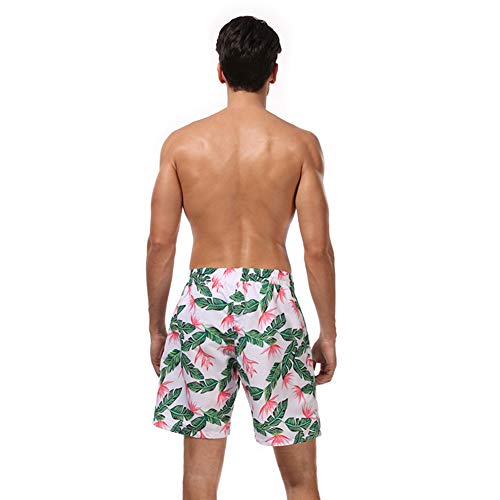 GUOCU Bañador Hombre Chico Playa Poliéster Pantalon Corto Hombre Deporte Secado Rápido Bañadores Natacion Ligero Moda Shorts Verde Hombre:2XL