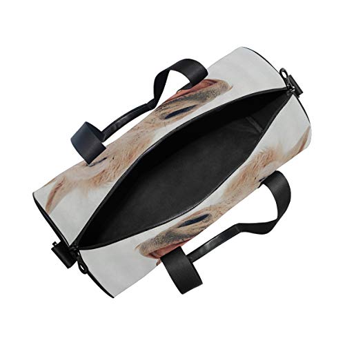 HARXISE Gracioso burro blanco culo animal en invierno nieve，Bolsa de equipaje de viaje Deporte Lienzo ligero Equipaje de fitness Bolso de tambor Desmontable