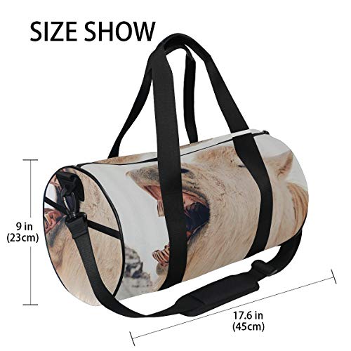 HARXISE Gracioso burro blanco culo animal en invierno nieve，Bolsa de equipaje de viaje Deporte Lienzo ligero Equipaje de fitness Bolso de tambor Desmontable