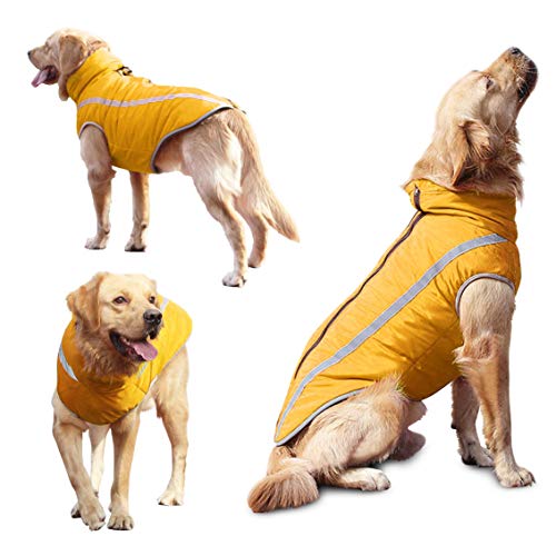 Idepet Impermeable Abrigo para Perros Chaqueta abrigadora de Invierno, Ropa Impermeable para Perros al Aire Libre Traje Chaleco para Perros pequeños medianos Grandes con Orificio para arnés