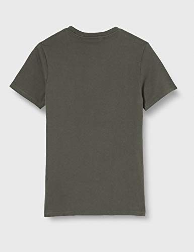 Levi's Housemark Graphic tee T-Shirt, Grey (Ssnl Hm Forge Iron 0248), Small para Hombre