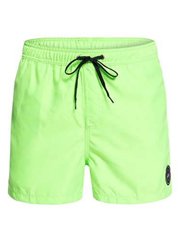 Quiksilver Everyday Shorts, Hombre, Green Gecko, L