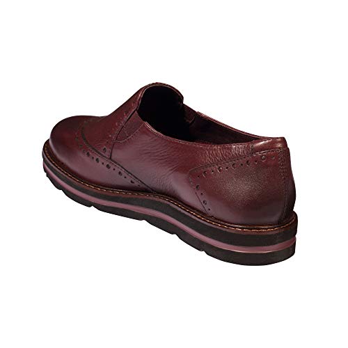 Scholl Brogues salandra Bordeaux 38