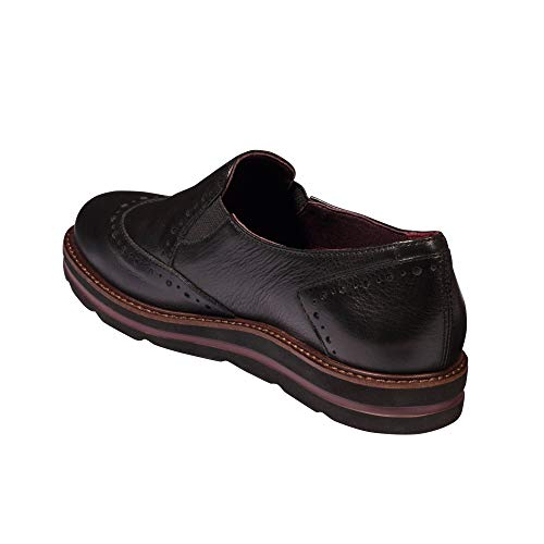 Scholl Brogues salandra Negro 38