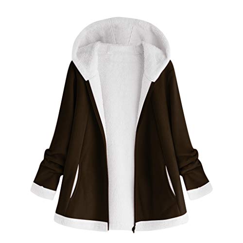 ZODOF Sudadera con Capucha para Mujer Abrigo De Invierno Mujer Abrigos Rebajas Talla Grande Chaqueta Manga Larga Cremallera Señoras Hoodie Pullover Tops Blusa