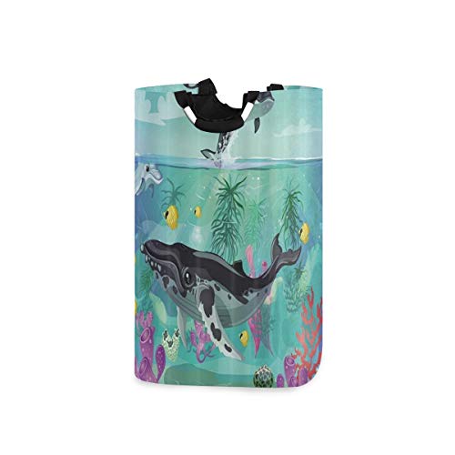 COFEIYISI Cesto para la Colada,Ballena De Dibujos Animados Animales del Océano Vida Marina con Plantas Marinas Y Delfines,Plegable Cestas Bolsas Almacenamiento