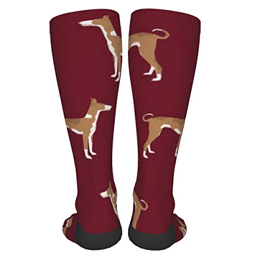 Ibizan Hound Standing Pure Breed Dog Ruby Calcetines Gruesos y cálidos Personalizados Calcetines de Vestir a Media Pierna Calcetines Largos de Invierno Ocasionales para Hombres y Mujeres