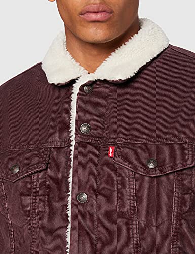 Levi's Type 3 Sherpa Trucker Chaqueta, All Spice, L para Hombre