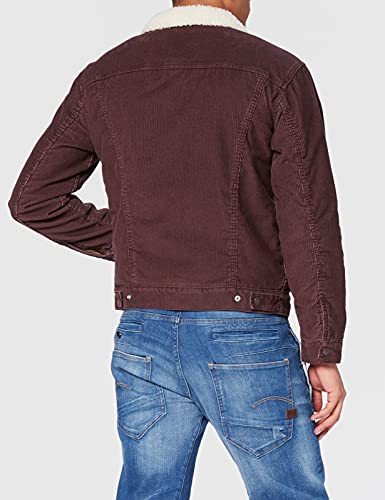 Levi's Type 3 Sherpa Trucker Chaqueta, All Spice, L para Hombre