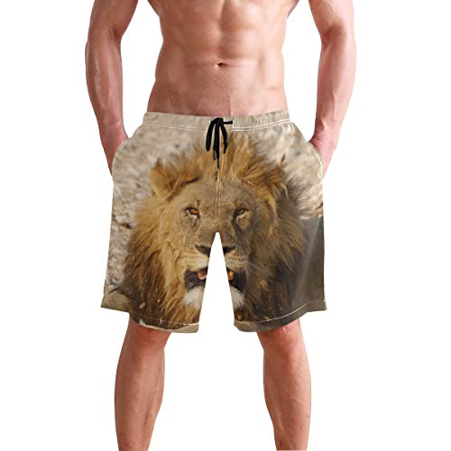 Lion Africa - Bañador para hombre, diseño de animales Multicolor multicolor S