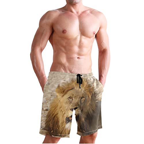 Lion Africa - Bañador para hombre, diseño de animales Multicolor multicolor S