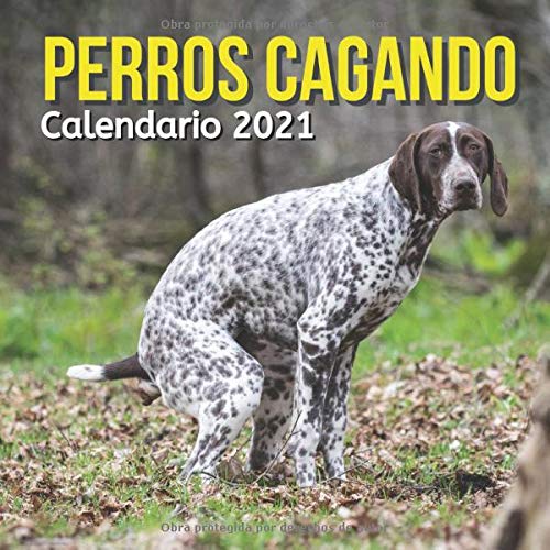 Perros Cagando Calendario 2021: Regalos Divertidos Para Amante De Los Perros, Mujer, Padre, Madre, Novio, Novia, Trabajo, Mujer, Hombre, Adolescentes, ... Niños, Niñas, Cumpleaños, Navidad y Amigos