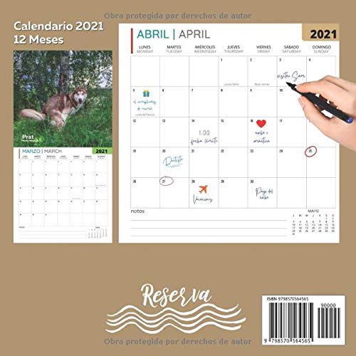 Perros Cagando Calendario 2021: Regalos Gracioso Para Amantes de los Perros | Divertidos Para Amigos, Mujer, Hombre, Adolescentes, Adultos, Cumpleaños, Navidad