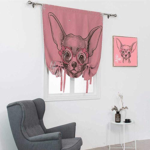 Perros romanas para ventana, diseño de chihuahua con cita de moda, cintas para gafas, cenefa para ventana de cachorro, color rosa pálido, verde militar, 106,7 x 182,8 cm