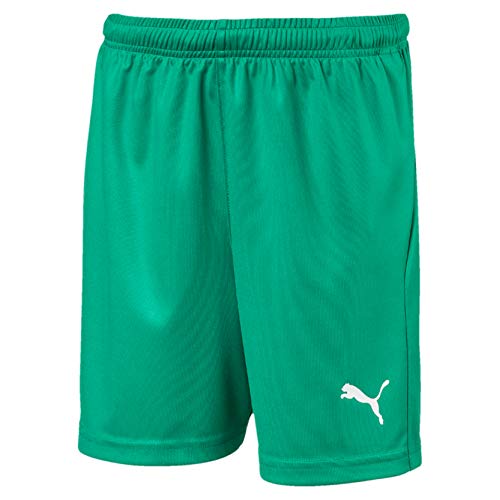 PUMA Liga Core Jr Chándal, Unisex niños, Pepper Green/White, 164