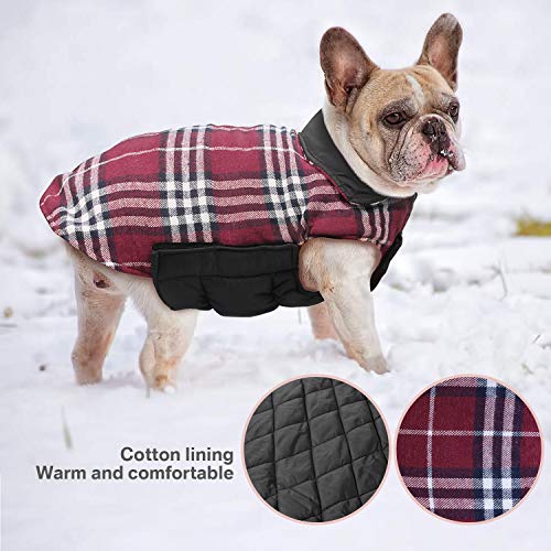 WOOCE Chaqueta Perro Abrigo Perro Invierno Ropa Lindo Escoces Acolchado para Perro Pequeño y Mediano