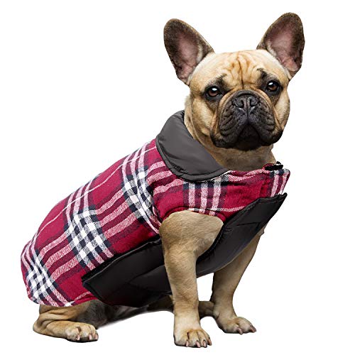 WOOCE Chaqueta Perro Abrigo Perro Invierno Ropa Lindo Escoces Acolchado para Perro Pequeño y Mediano