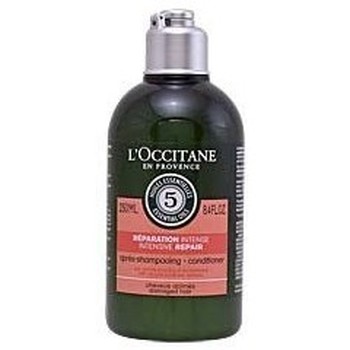 Loccitane Champú AROMACHOLOGY APRES-CHAMPUING REPARATEUR 250ML