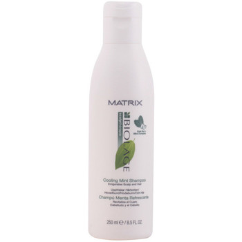 Matrix Champú BIOLAGE SCALPTHERAPIE COOLING MINT CHAMPU 250ML