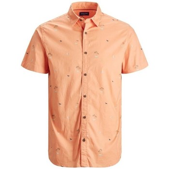 Jack & Jones Camisa manga corta CAMISA MANGA CORTA HOMBRE JACK JONES 12187953