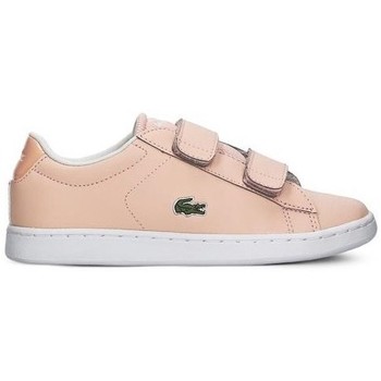 Lacoste Zapatillas Carnaby Evo Strap