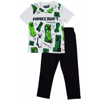 Minecraft -