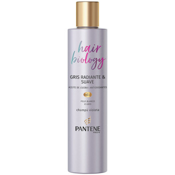 Pantene Champú HAIR BIOLOGYGRIS RADIANTE CHAMPU 250ML