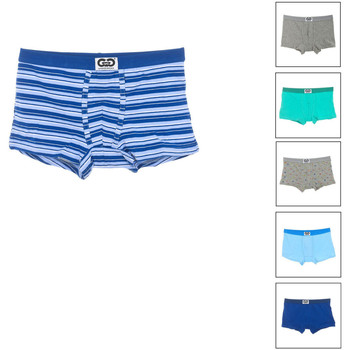 Le Petit Garçon Boxer Pack-6 Boxers LPG