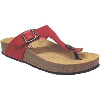 Plakton Chanclas Cp bolero