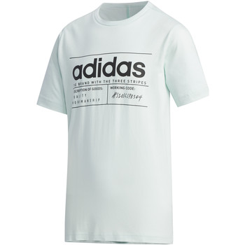 adidas Camiseta CAMISETA ADIDAS YB BB T