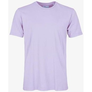 Colorful Standard Camiseta T-shirt Soft Lavender