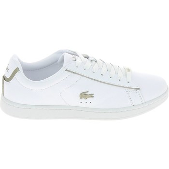 Lacoste Zapatillas Carnaby Evo Blanc Or