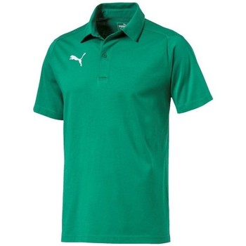 Puma Polo Liga Casuals