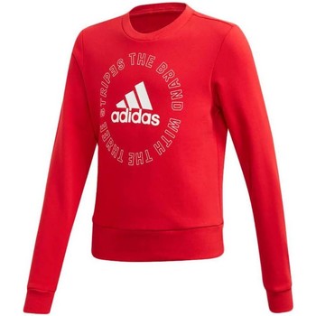 adidas Jersey BOLD CREW GE0069