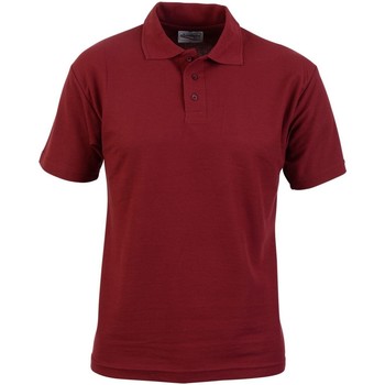 Absolute Apparel Polo -