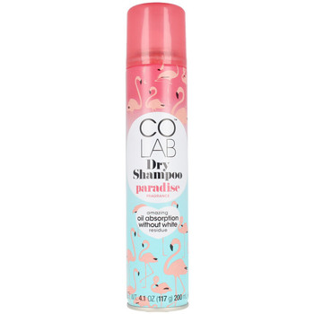 Colab Champú Paradise Dry Shampoo