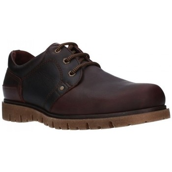 Pitillos Zapatos Hombre 4300 Hombre Marron