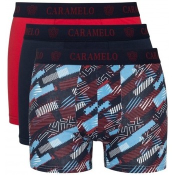 Caramelo Boxer 4019