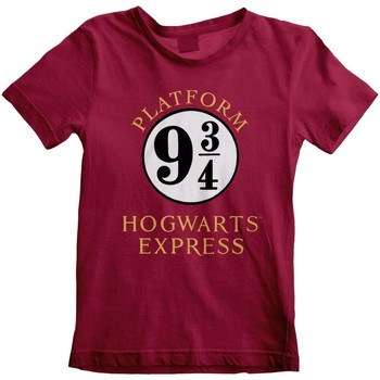 Harry Potter Camiseta -