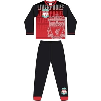 Liverpool Fc -