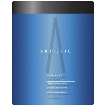 Artistic Hair Mascarillas & exfoliantes HYDRA CARE MASCARILLA 1000ML