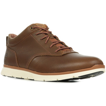 Timberland Deportivas Moda Killington Low Chukka