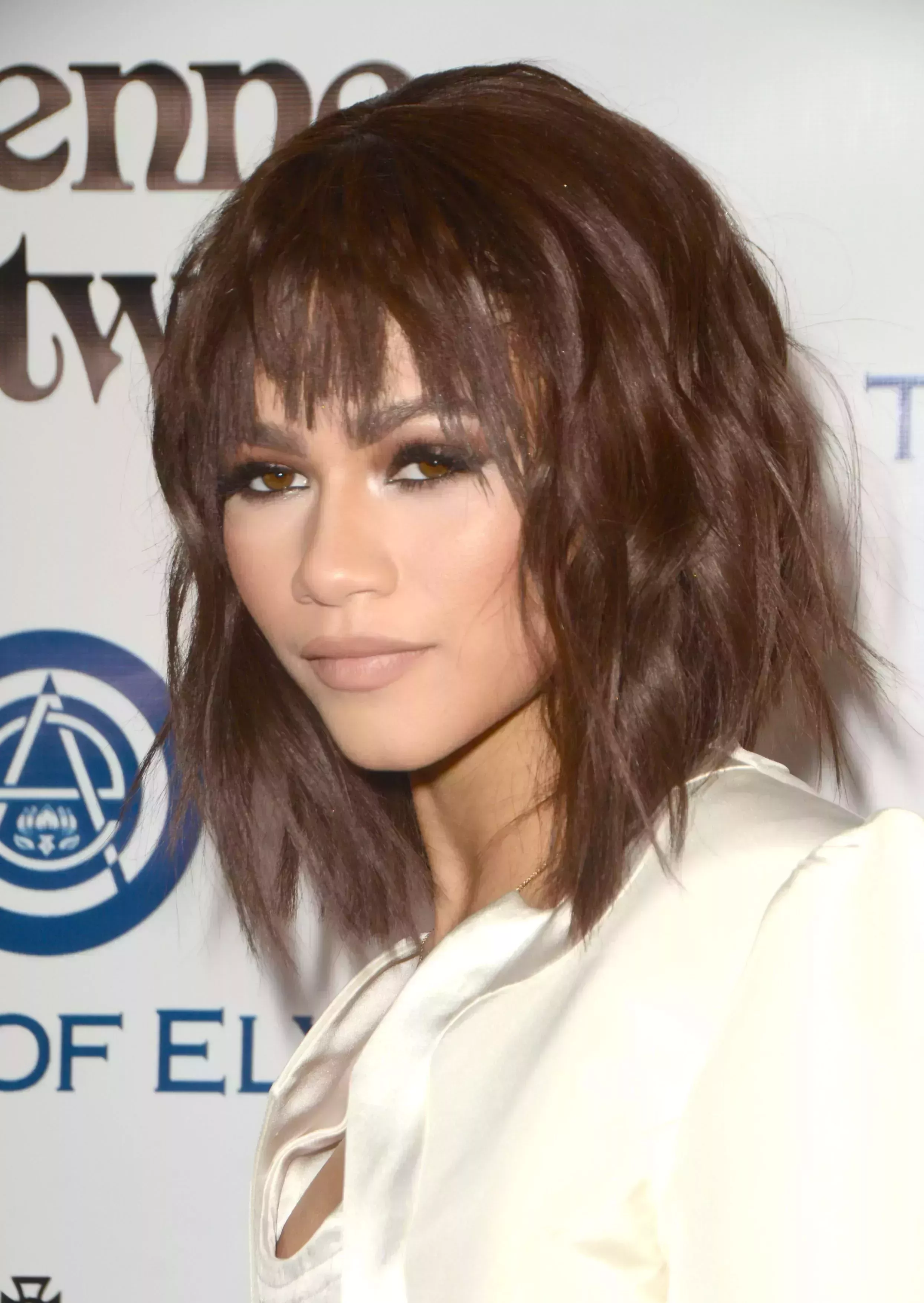 Zendaya’s Rough Wolf Cut