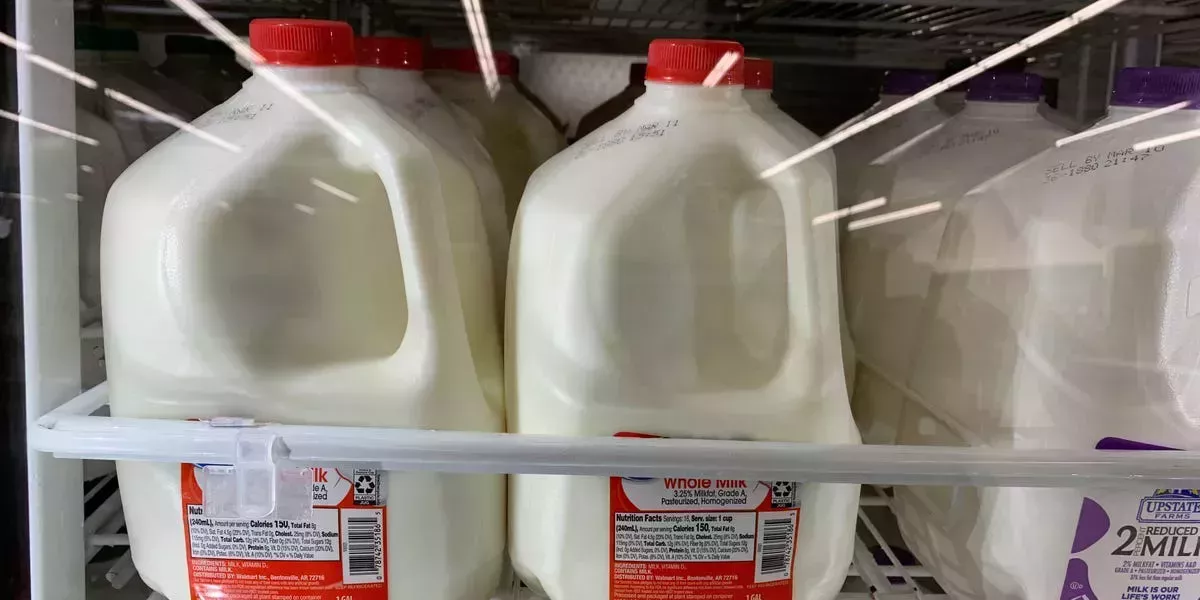 Algunos compañeros de gimnasio siguen bebiendo un galón de leche al día para aumentar de tamaño. Esto es lo que necesitas saber sobre la dieta 'GOMAD'.