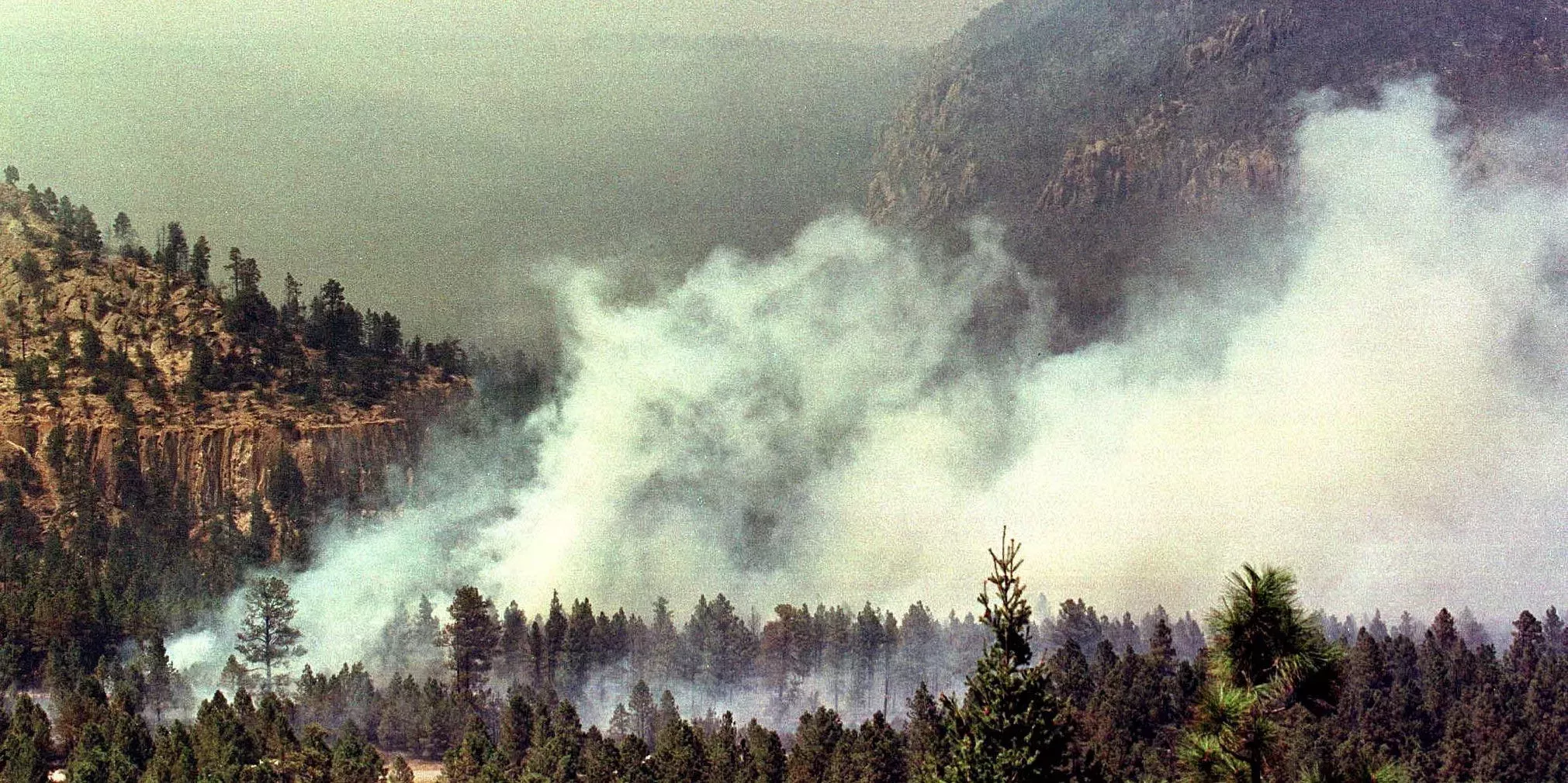 Los 15 artículos más importantes que debe incluir en un kit de preparación para incendios forestales