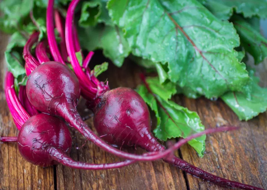 El sabor del otoño: 5 recetas otoñales imprescindibles