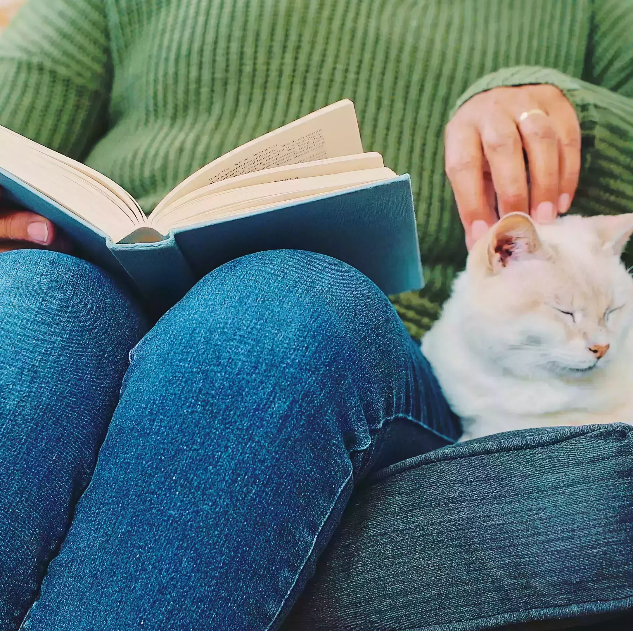 woman reading anxiety book with cat