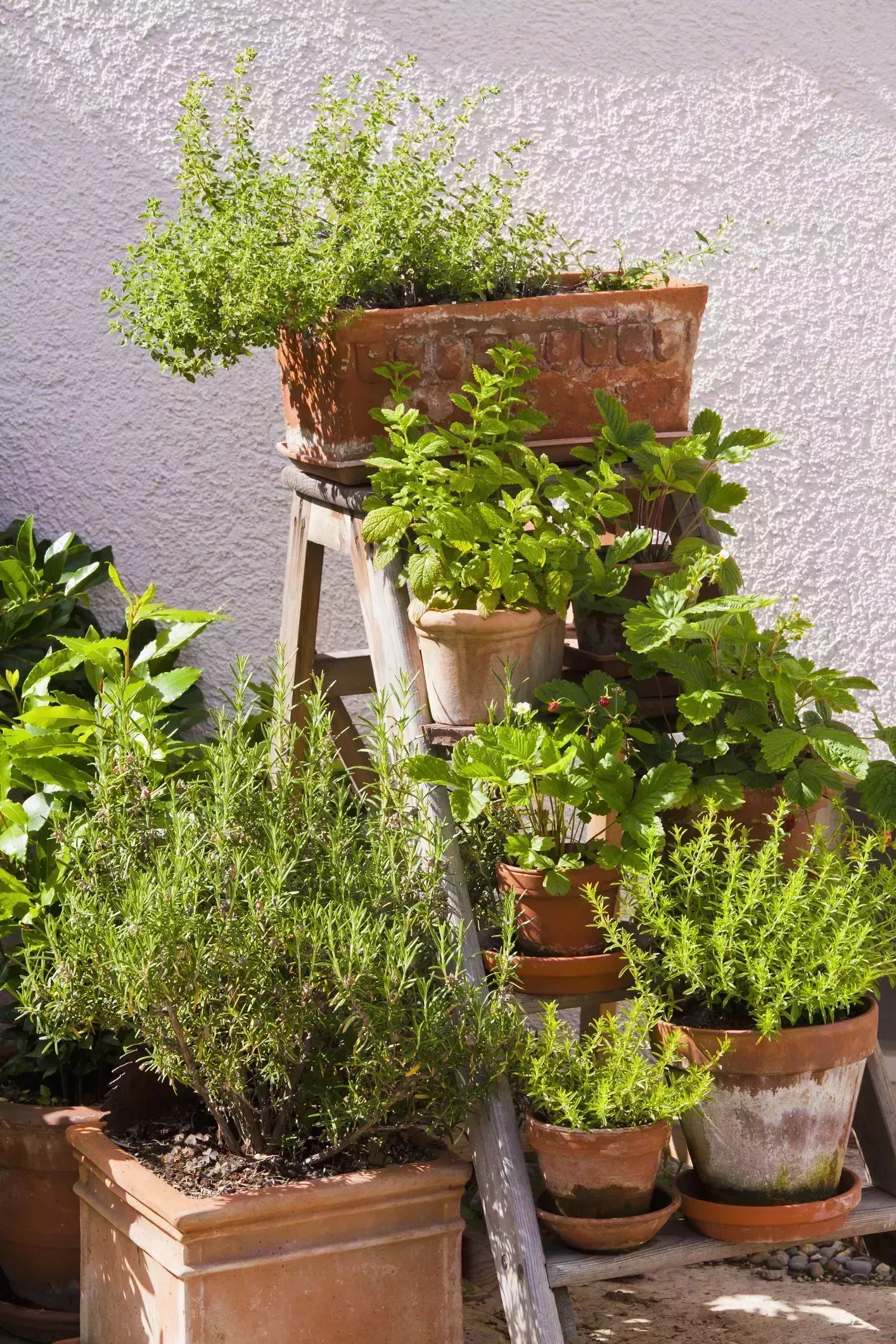 Puedes hacer tú mismo estas ideas baratas de camas elevadas para jardín