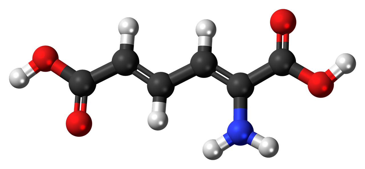 ¿Qué pasa cuando el metabolismo es rápido?