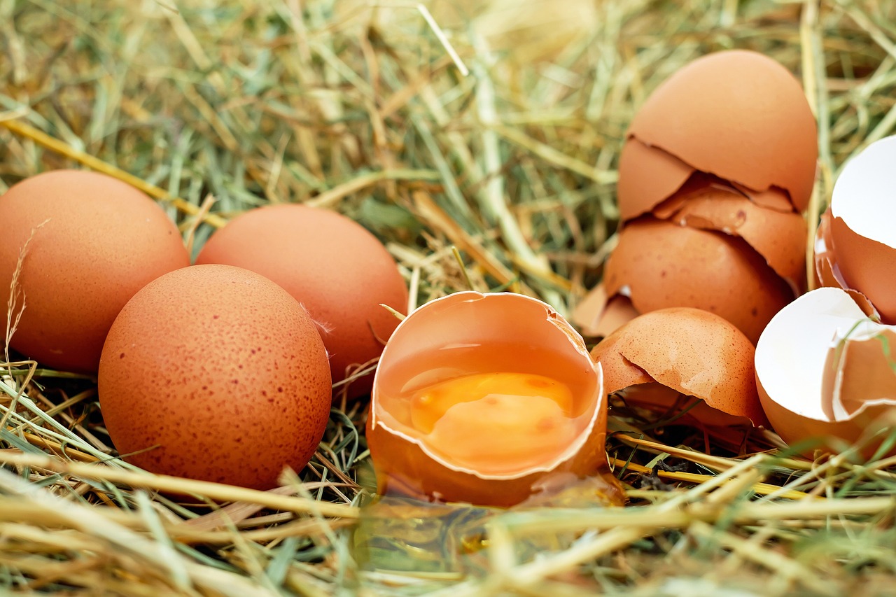 ¿Qué proteína se puede comer en el desayuno?